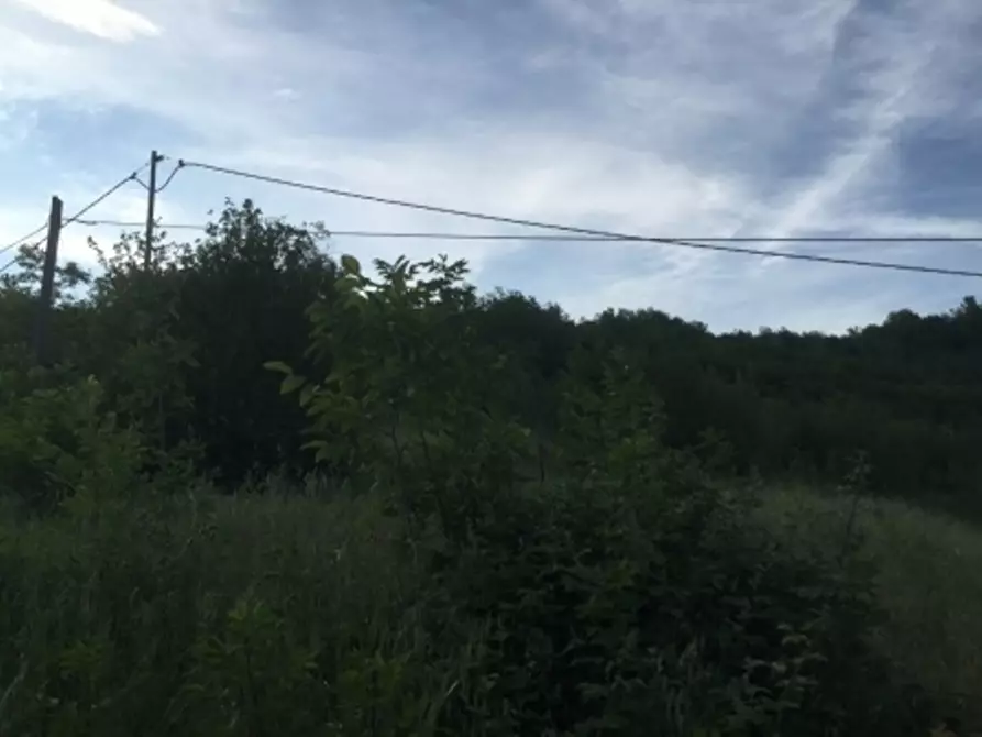 Immagine 47 di Appartamento in vendita  in via piazze 1 a Cremolino