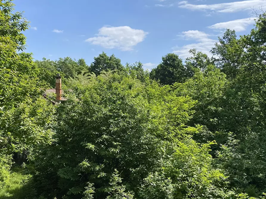 Immagine 41 di Casa indipendente in vendita  in Via Monterosso 11 a Tiglieto