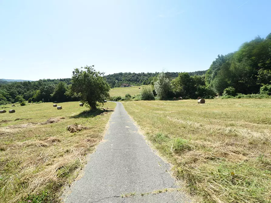 Immagine 37 di Casa trifamiliare in vendita  in località GROSSA a Sassello