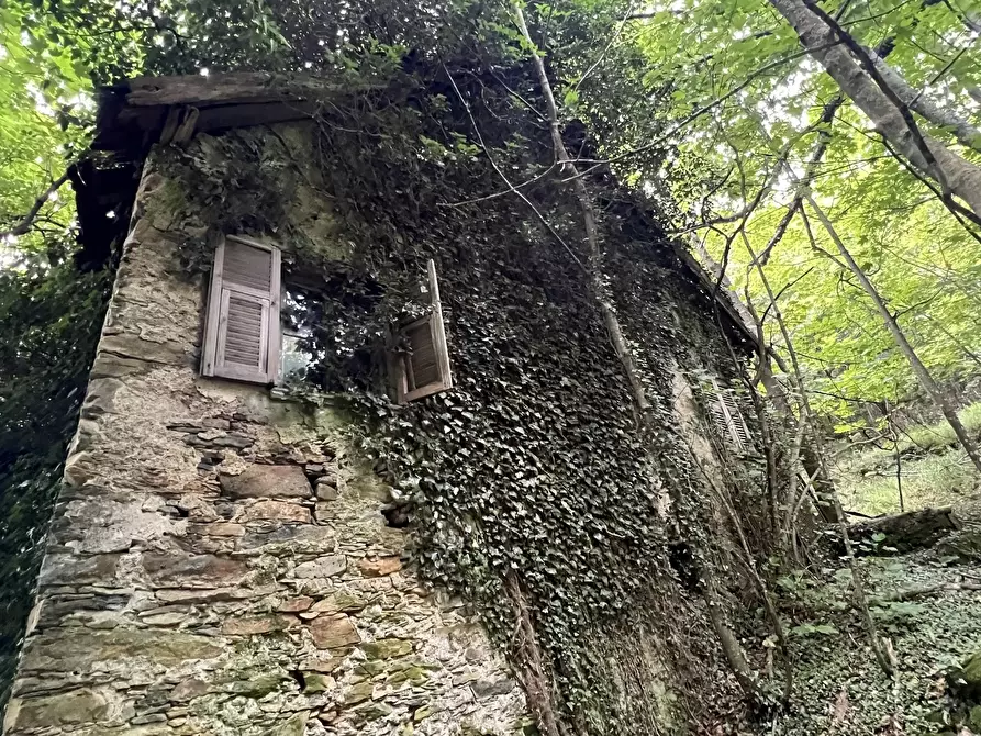 Immagine 1 di Rustico / casale in vendita  in Loc ciazza 1 a Sassello