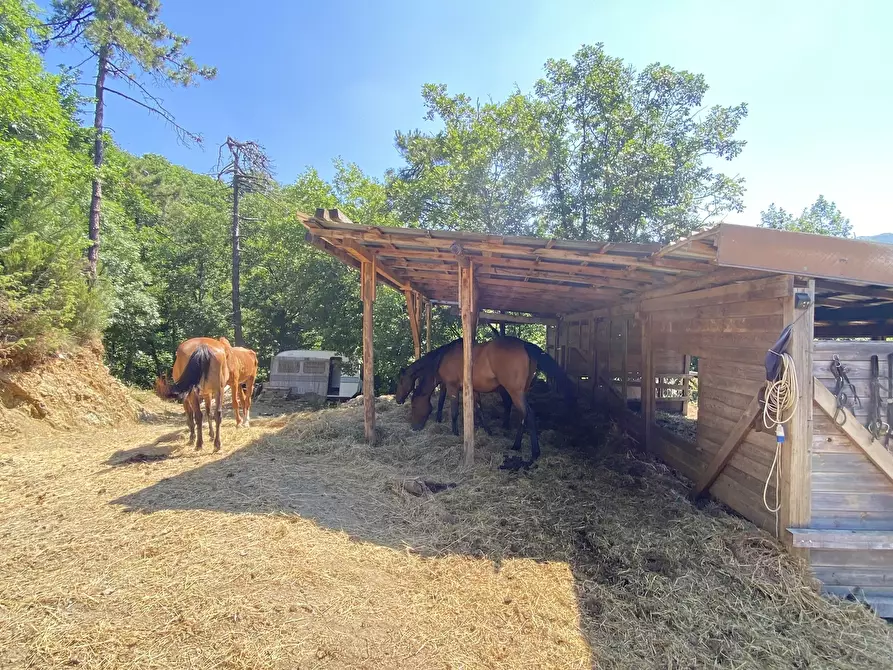 Immagine 14 di Rustico / casale in vendita  in Località Bonuzzo 22 a Sassello