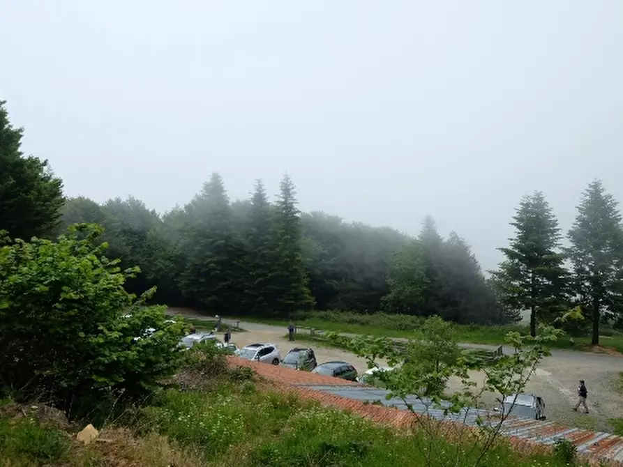 Immagine 35 di Albergo/B&B/Residence in vendita  a Cogoleto