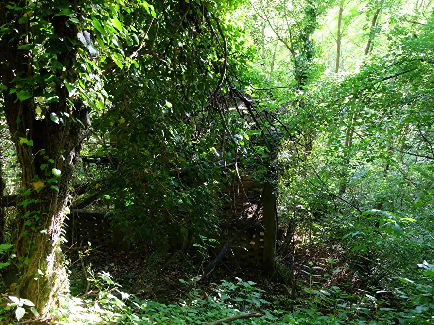 Immagine 18 di Rustico / casale in vendita  in Unnamed Road 13b a Sassello