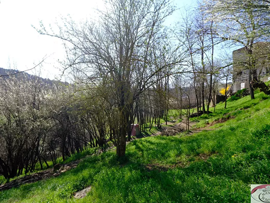 Immagine 32 di Rustico / casale in vendita  in SP216 6 a Pareto