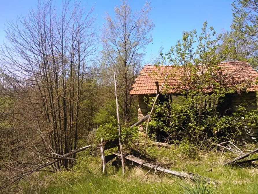 Immagine 14 di Rustico / casale in vendita  a Giusvalla
