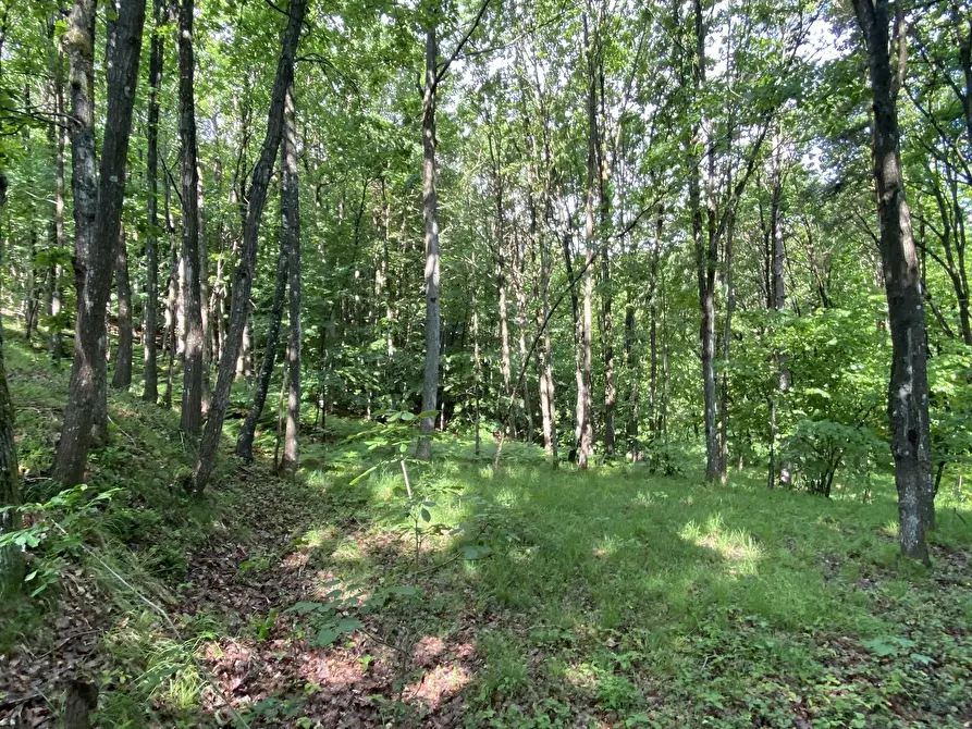 Immagine 49 di Casa indipendente in vendita  in Via Monterosso 11 a Tiglieto