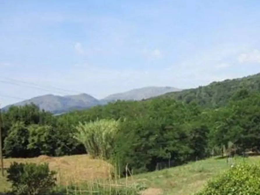 Immagine 3 di Terreno agricolo in vendita  in Via Acquasanta snc a Genova
