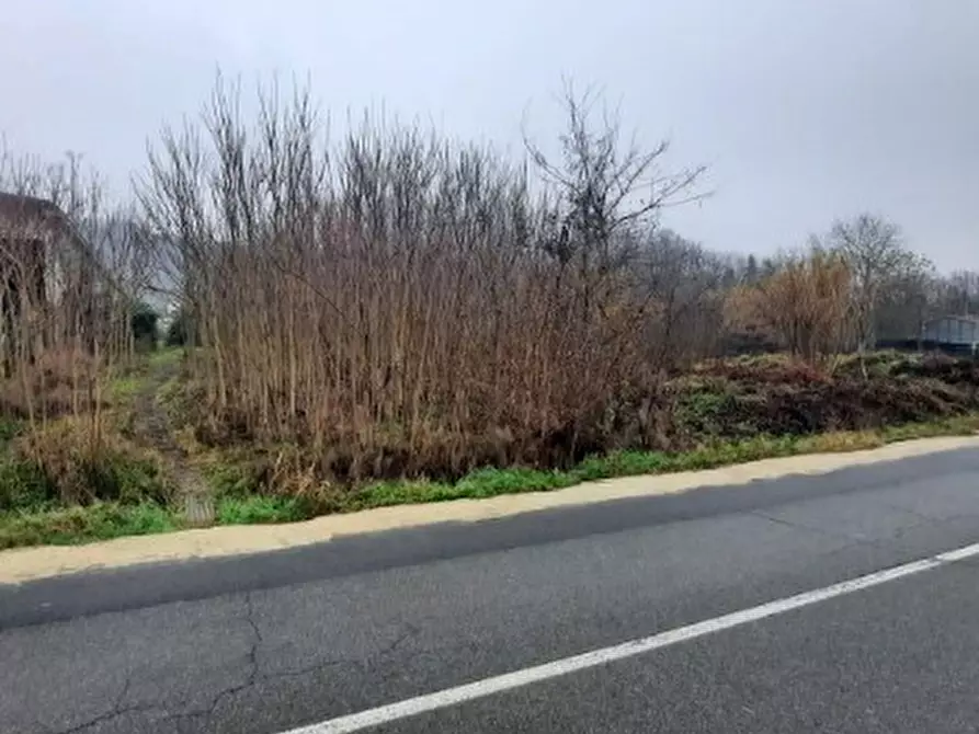 Immagine 4 di Terreno edificabile in vendita  in Regione Fontane snc a Strevi