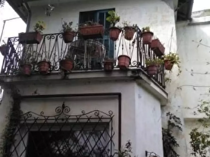 Immagine 1 di Pentalocale in vendita  in Strada Vicinale Cascine 5 a Imperia