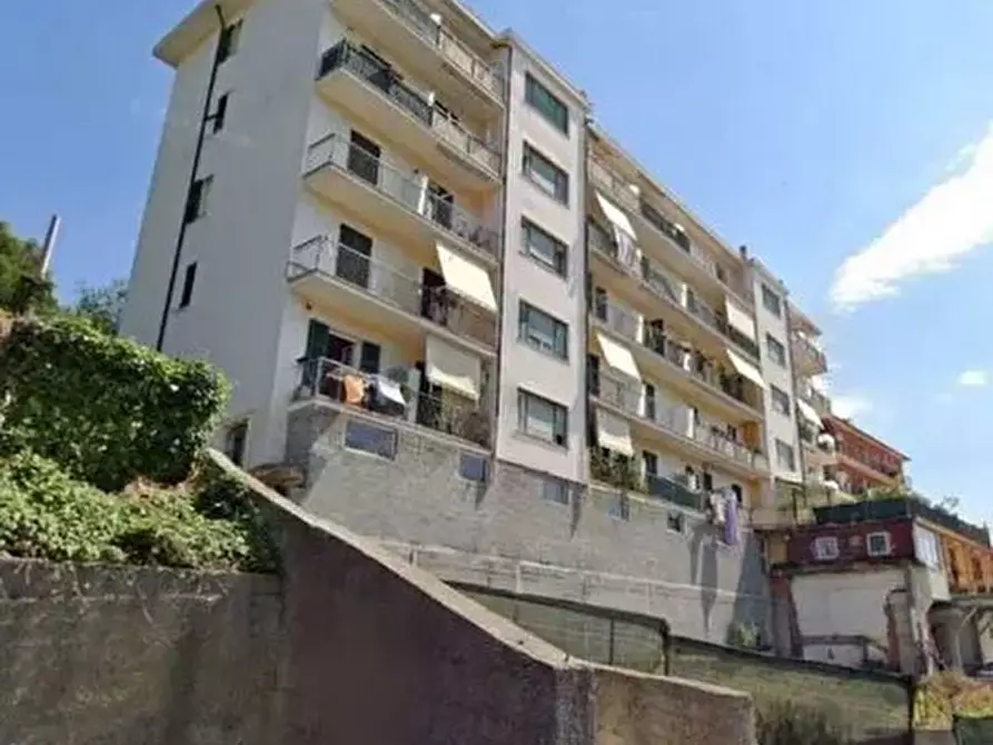 Immagine 1 di Quadrilocale in vendita  in Via Giuseppe Airenti 44 a Imperia