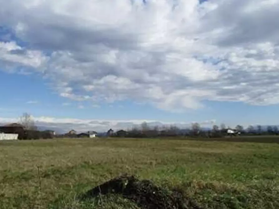 Immagine 3 di Terreno edificabile in vendita  in Strada Vecchia di Novi snc a Sale