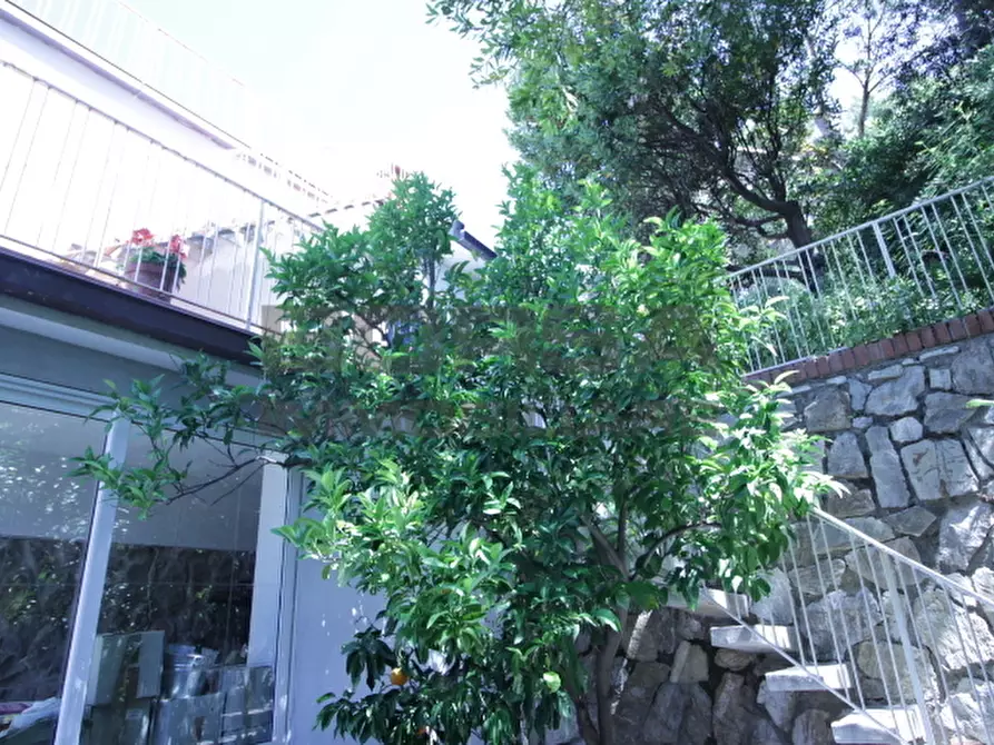 Immagine 5 di Terratetto in vendita  in Via Kaiser Parodi a Livorno