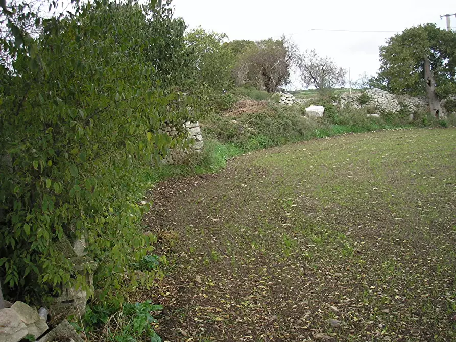 Immagine 24 di Rustico / casale in vendita  a Ragusa