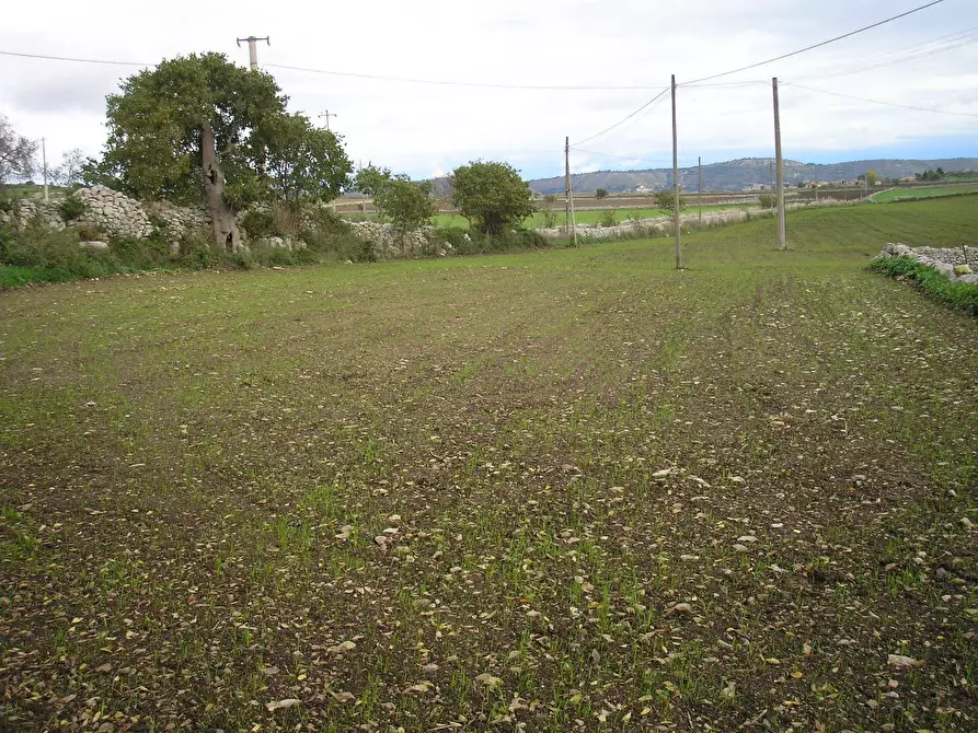 Immagine 25 di Rustico / casale in vendita  a Ragusa