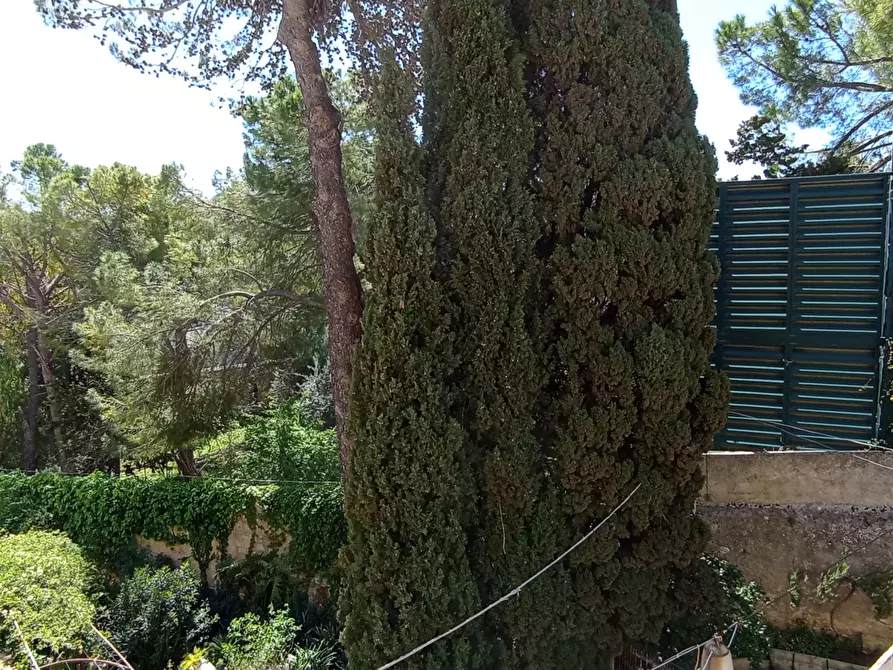 Immagine 16 di Pentalocale in vendita  a Ragusa