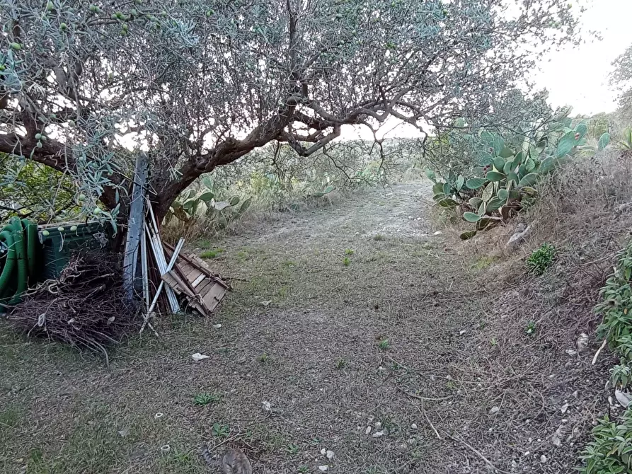 Immagine 30 di Casa bifamiliare in vendita  a Ragusa
