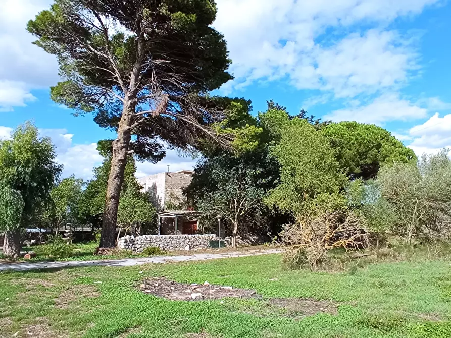 Immagine 28 di Casa indipendente in vendita  in SP25 a Ragusa