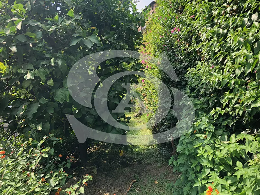 Immagine 21 di Bilocale in affitto  in Via Cavour 36 a Ospedaletti