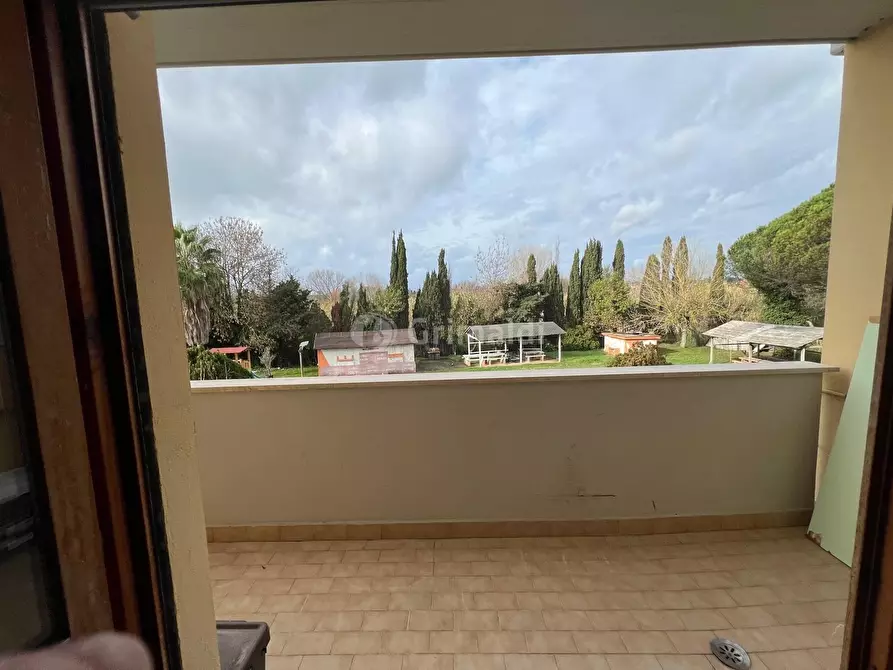 Immagine 12 di Trilocale in affitto  in Via della Seccia 93 a Nettuno