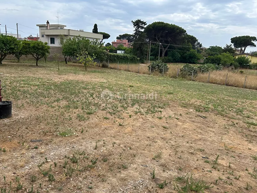 Immagine 4 di Terreno edificabile in vendita  in Via Sutri 4 a Nettuno