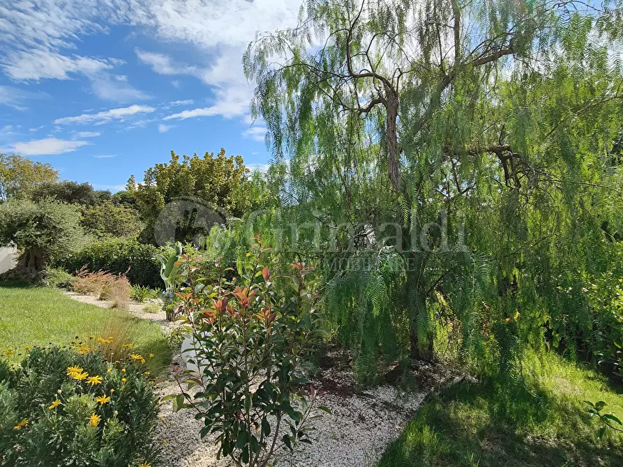 Immagine 59 di Villa in vendita  a Anzio