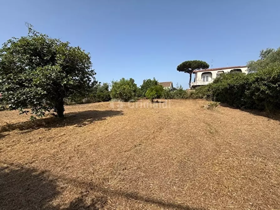 Immagine 4 di Terreno edificabile in vendita  in Via Viminale a Nettuno