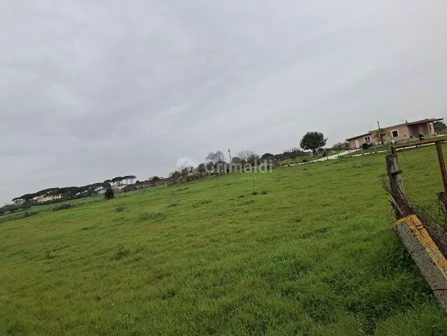 Immagine 2 di Terreno agricolo in vendita  in Via del Pino a Nettuno
