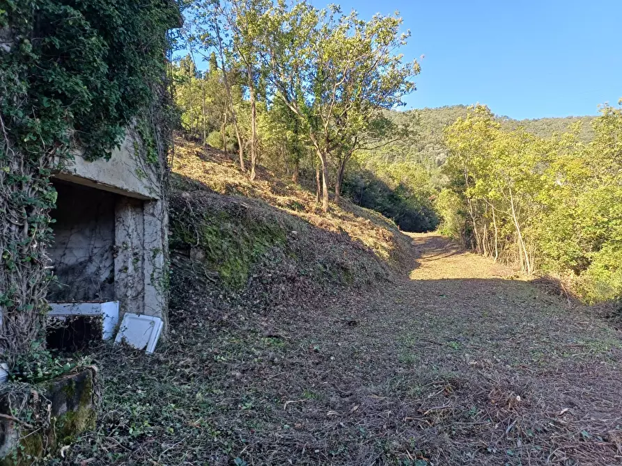 Immagine 5 di Rustico / casale in vendita  in Via Olivella Caminata 17 a Casarza Ligure