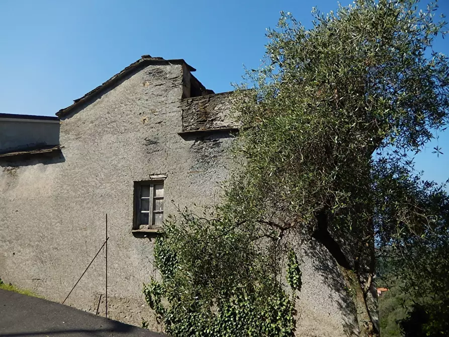 Immagine 8 di Rustico / casale in vendita  in Via Costigliolo a Cogorno