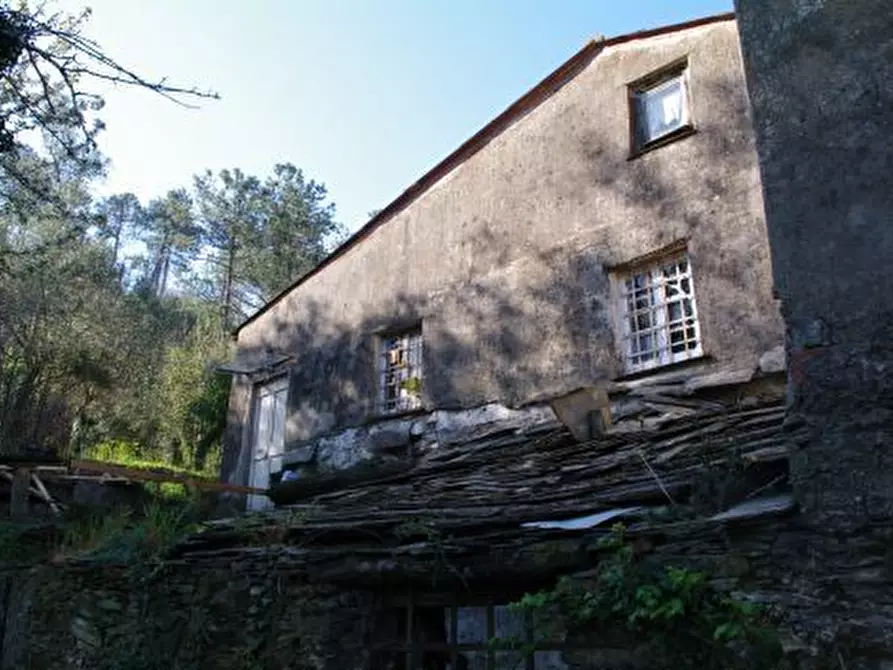 Immagine 16 di Rustico / casale in vendita  in Via dei Cogorno 110 a Cogorno