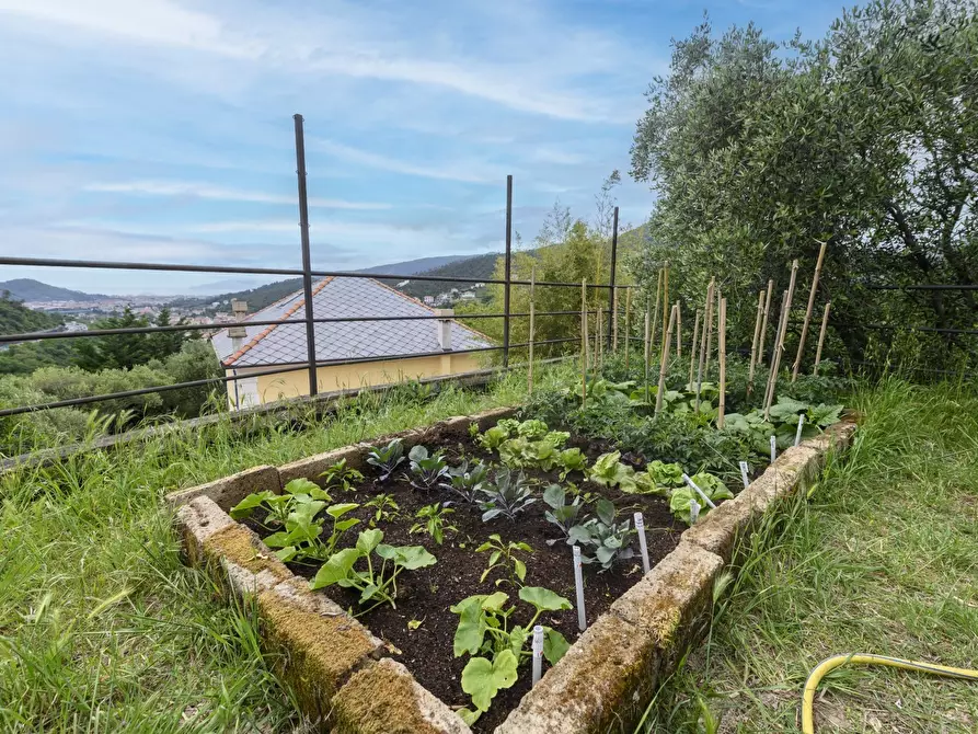 Immagine 36 di Villa in vendita  in Via Novano 8 a Casarza Ligure