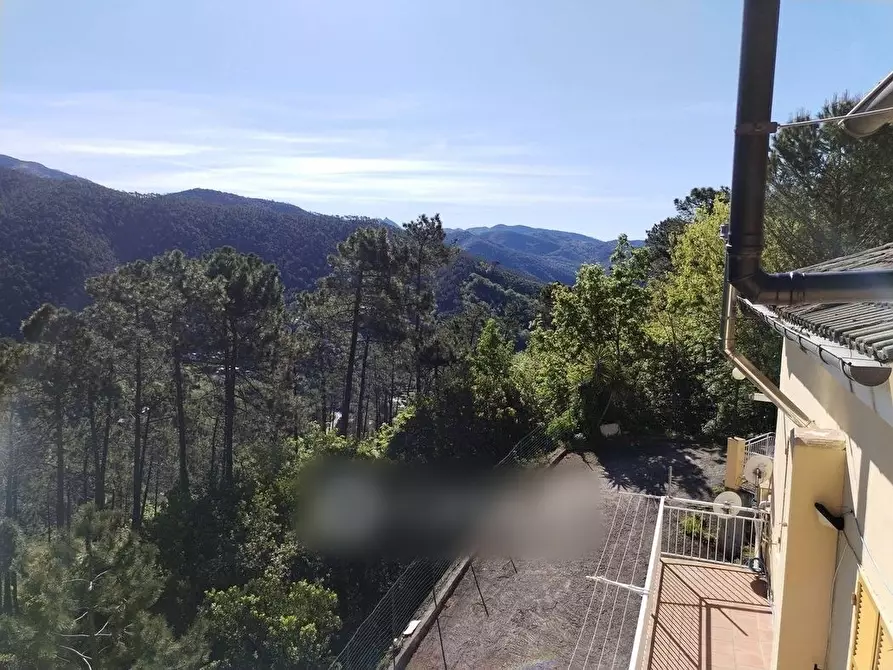 Immagine 15 di Villa in vendita  in Via Olivella Caminata 36 a Casarza Ligure