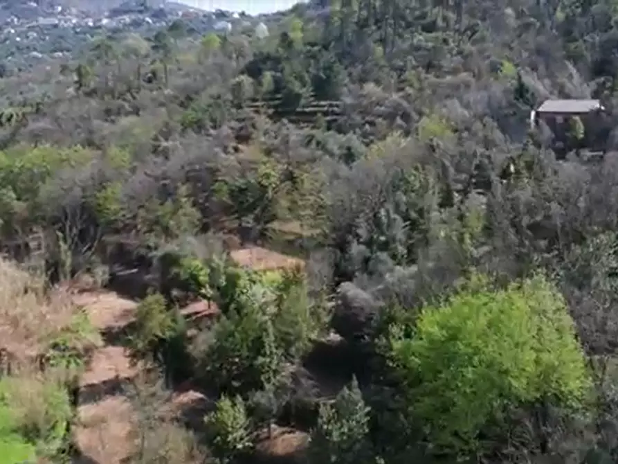 Immagine 8 di Rustico / casale in vendita  in Via dei Cogorno 110 a Cogorno