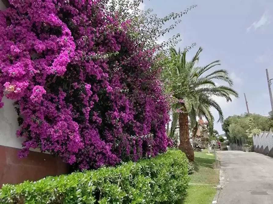 Immagine 5 di Monolocale in vendita  in Via Olanda 157 a Sestri Levante