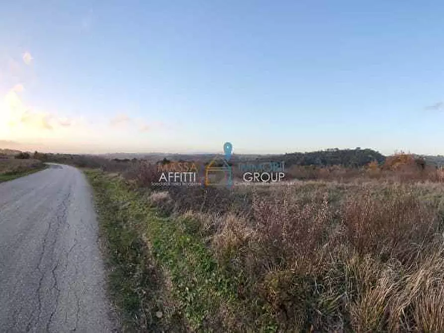 Immagine 4 di Terreno agricolo in vendita  in Via Carbonaia a Palaia