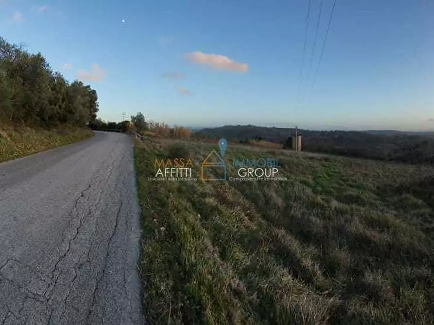 Immagine 5 di Terreno agricolo in vendita  in Via Carbonaia a Palaia