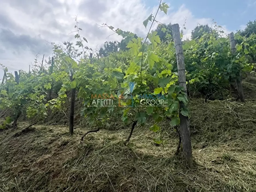 Immagine 10 di Terreno agricolo in vendita  in Via del Pozzo 2 a Massa
