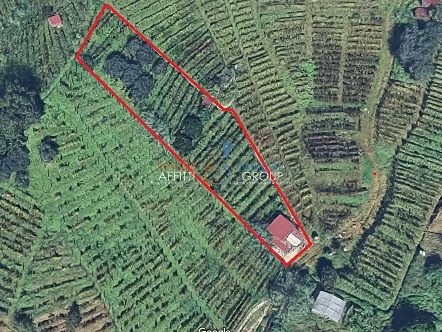 Immagine 1 di Terreno agricolo in vendita  in Via del Pozzo 2 a Massa