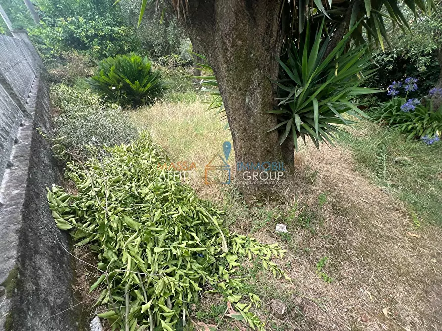 Immagine 4 di Terreno agricolo in vendita  in Via San Giuseppe Vecchio 37 a Massa