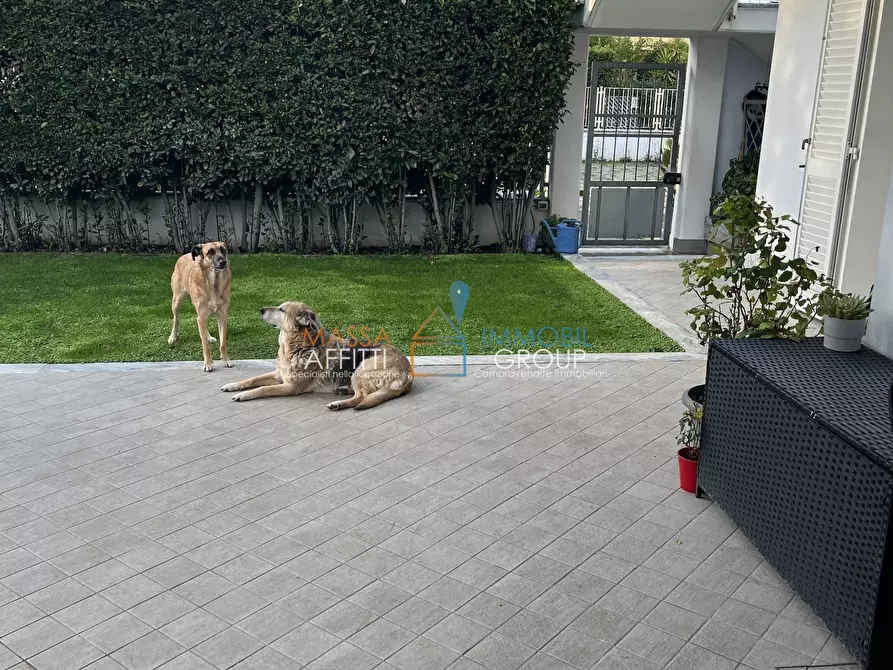 Immagine 19 di Porzione di casa in vendita  in Via dei Loghi 55a a Massa