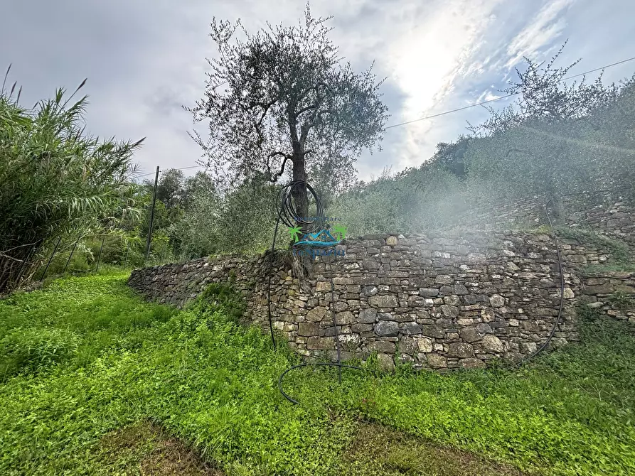 Immagine 81 di Rustico / casale in vendita  in Località Ciantà a Stellanello