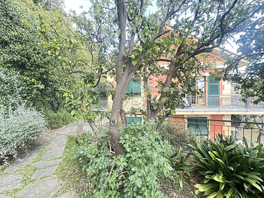 Immagine 4 di Casa indipendente in vendita  in Salvo D'Acquisto 70 a Recco