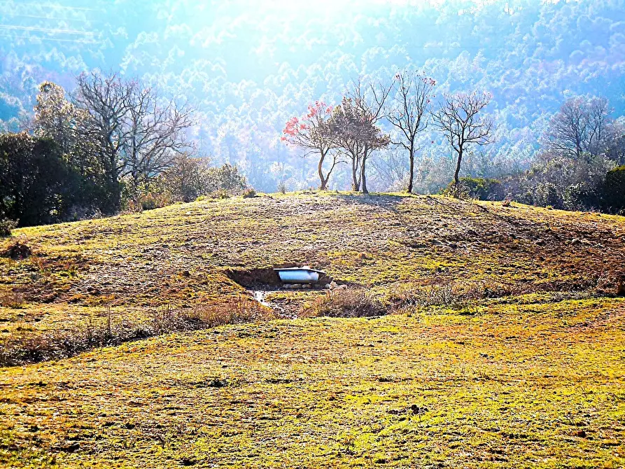 Immagine 9 di Terreno agricolo in vendita  in Località di Popogna la Concezione 35 a Rosignano Marittimo