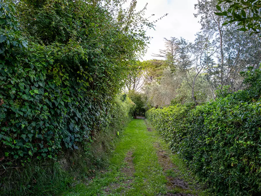 Immagine 22 di Villa in vendita  in Via Delle Corti a Collesalvetti