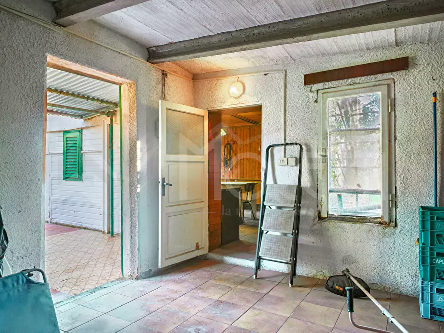 Immagine 25 di Terreno agricolo in vendita  in Via delle Sorgenti a Livorno