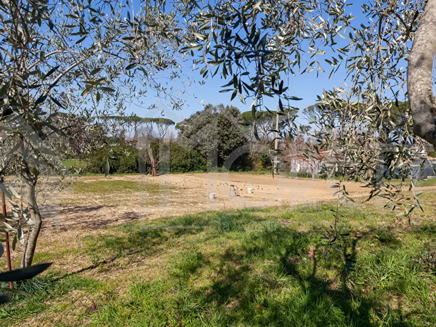 Immagine 17 di Terreno agricolo in vendita  in Via delle Sorgenti a Livorno