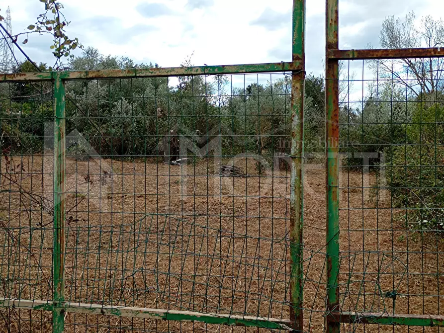 Immagine 44 di Terreno agricolo in vendita  in Via delle Sorgenti a Livorno