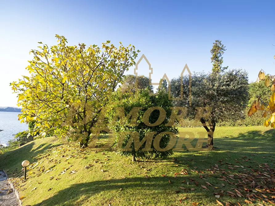 Immagine 2 di Villa in vendita  a Ghiffa