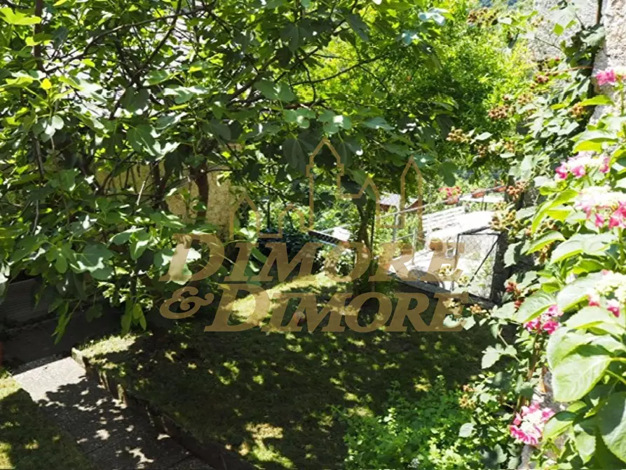 Immagine 59 di Baita in vendita  a Valle Cannobina