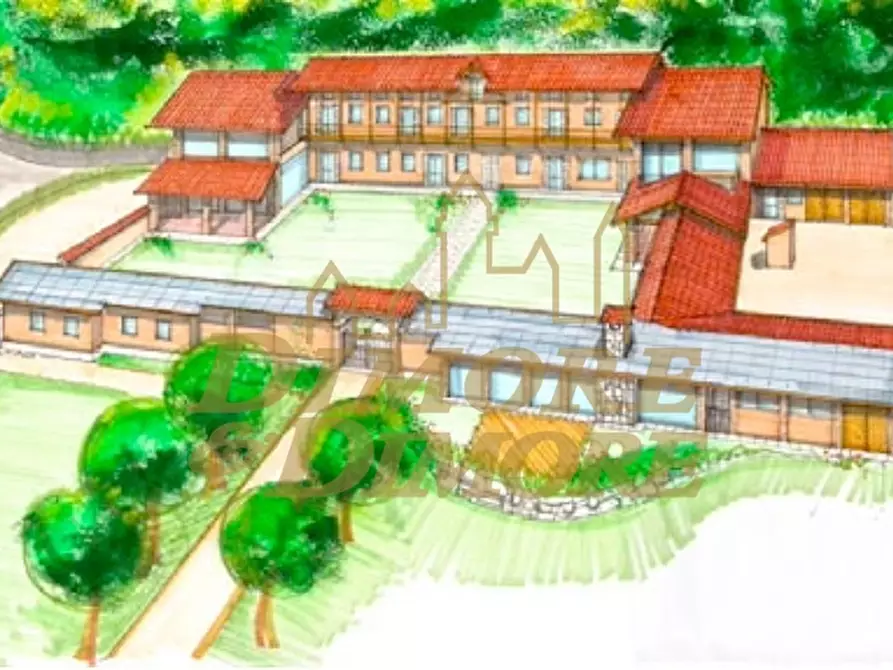 Immagine 5 di Rustico / casale in vendita  in Via Castello 11 a Agrate Conturbia